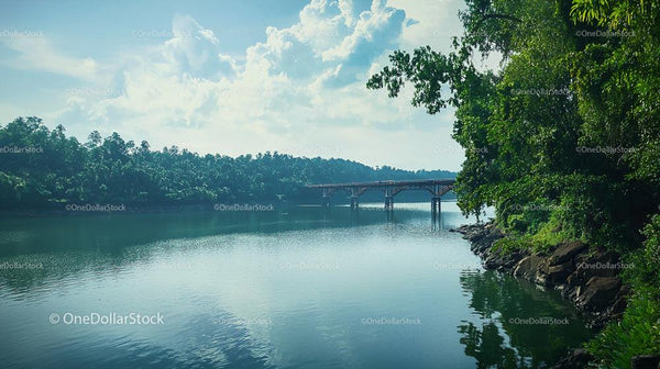 Peaceful River Scene with Lush Greenery and Wooden Bridge