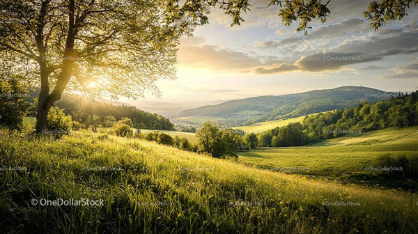 Sunset Over Rolling Hills and Lush Green Landscape