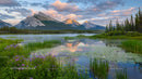 Majestic Mountain Reflections at Sunrise with Purple Flowers