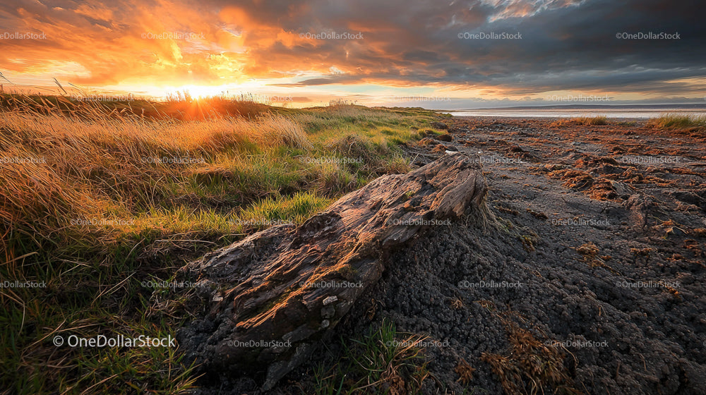 Dramatic Sunset Over Coastal Grassy Field