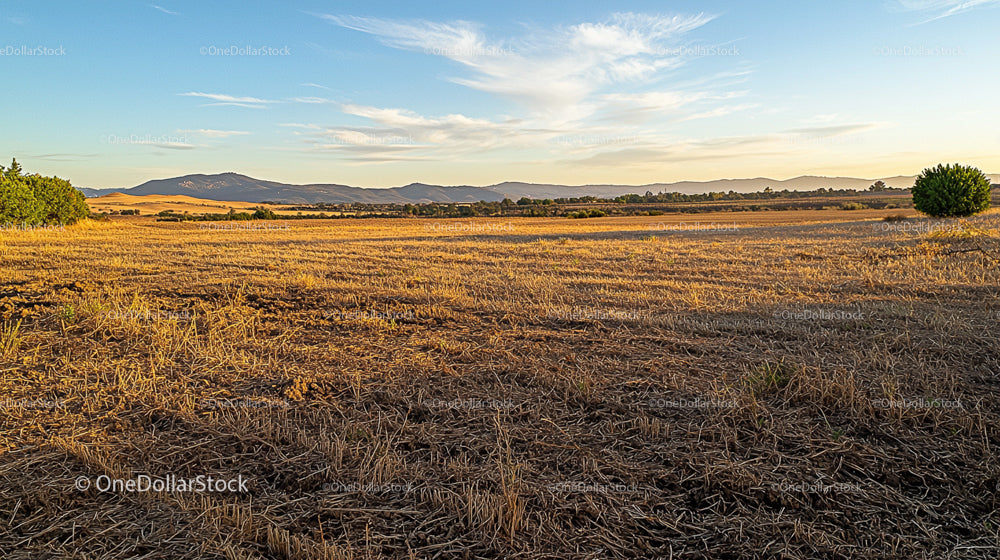 Golden Sunset Over Expansive Rural Field and Distant Mountains