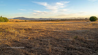Golden Sunset Over Expansive Rural Field and Distant Mountains