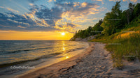 Golden Sunset Over Tranquil Beach Landscape with Lush Foliage
