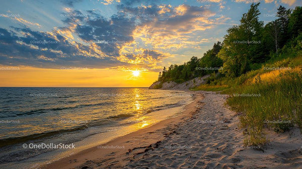 Golden Sunset Over Tranquil Beach Landscape with Lush Foliage