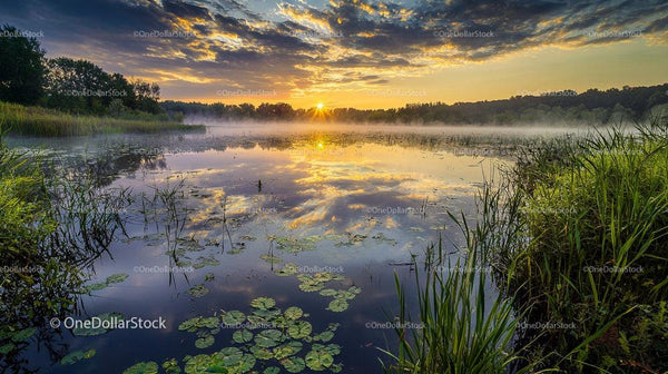 Breathtaking Sunrise Over a Serene Misty Lake