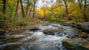 Tranquil River Flowing Through Vibrant Autumn Forest Scene