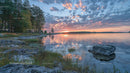 Dramatic Sunset Over a Tranquil Lake with Pine Trees