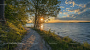 Scenic Sunset by a Tranquil Lake with Lush Greenery