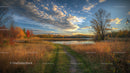 Autumn Landscape with Vibrant Foliage and Tranquil Pond