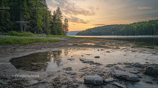 Tranquil River Scene with Sunset and Forest Background