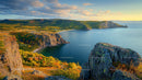 Scenic Coastal Cliffs with Autumn Foliage at Sunset