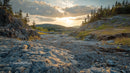 Rocky Landscape with Pine Trees at Sunset