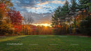 Autumn Forest Clearing with Vibrant Sunset and Foliage
