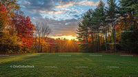 Autumn Forest Clearing with Vibrant Sunset and Foliage