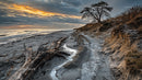 Dramatic Coastal Landscape with Driftwood and Sunset Sky