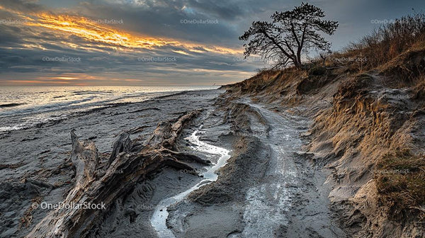 Dramatic Coastal Landscape with Driftwood and Sunset Sky