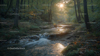 Sunlit Forest Stream with Gentle Waterfall in Tranquil Woodland