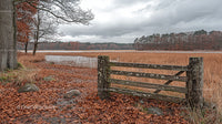 Rustic Gate Overlooking Tranquil Autumn Lake