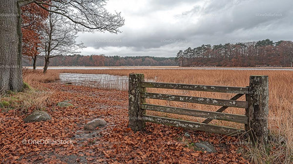 Rustic Gate Overlooking Tranquil Autumn Lake