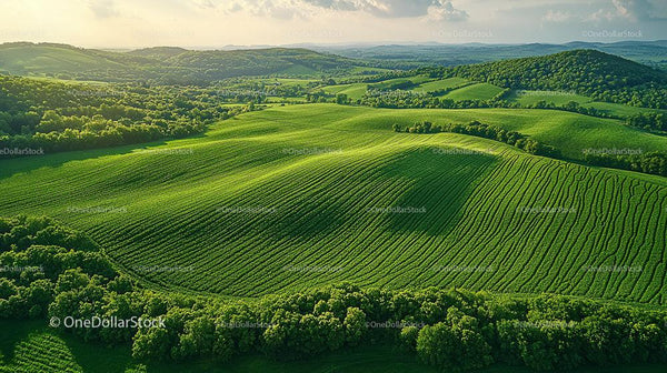 Breathtaking Aerial View of Verdant Rolling Hills