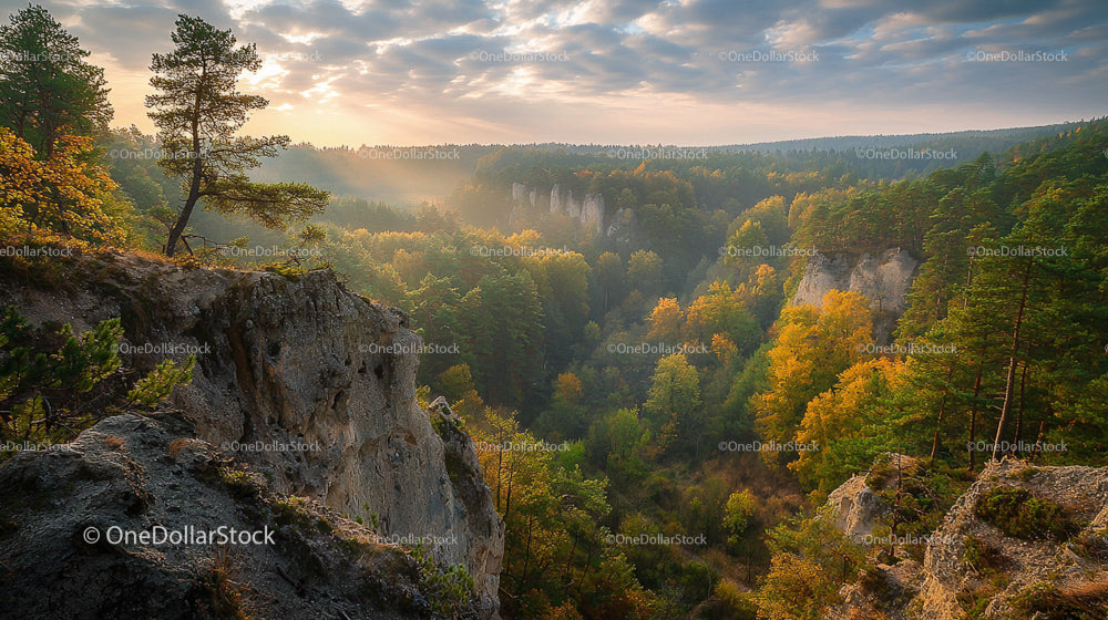 Misty Forest Cliffs at Sunset with Vibrant Autumn Colors