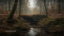 Misty Forest in Autumn with Stream and Fallen Leaves