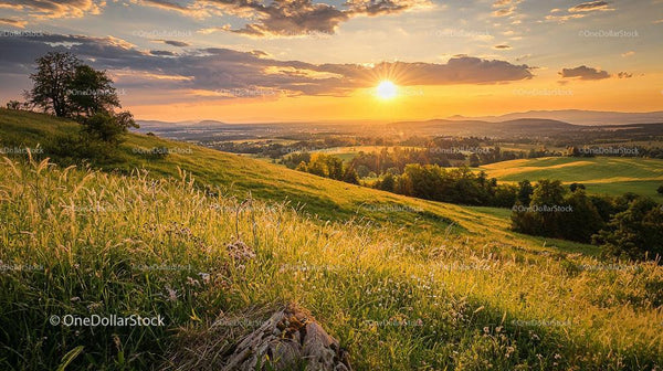 Golden Sunset Over Lush Green Hills and Fields