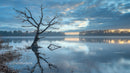 Tranquil Lake with Reflective Bare Tree at Sunrise