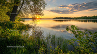 Sunset Over Tranquil Lake with Lush Green Foliage