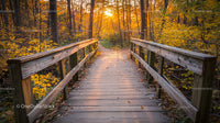 Rustic Wooden Bridge Amidst Golden Autumn Foliage at Sunset