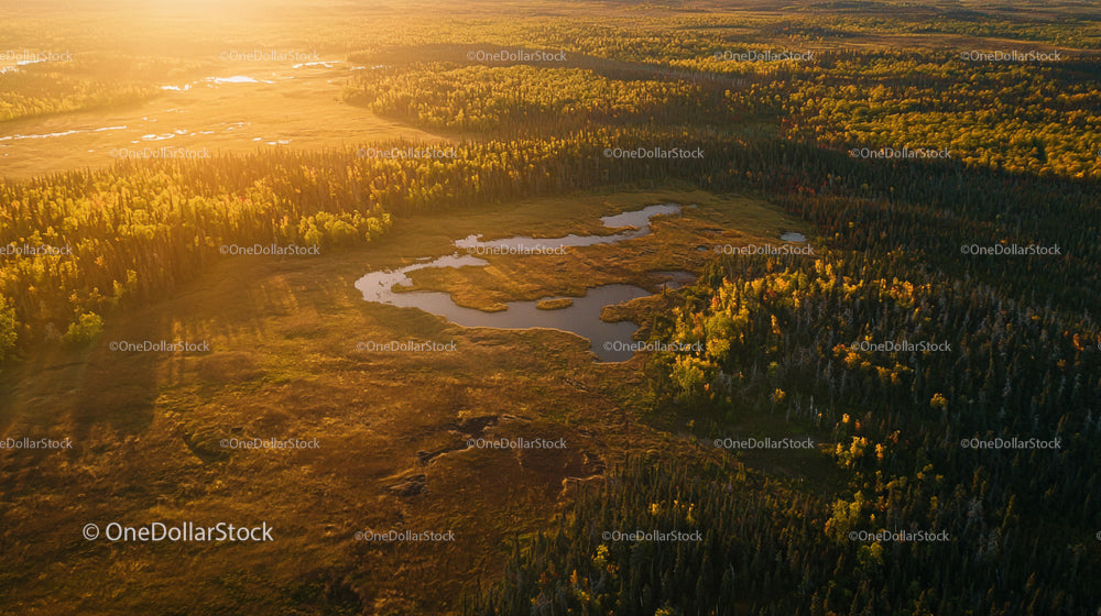 Aerial View of Autumn Forest and Pond at Golden Hour