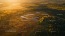 Aerial View of Autumn Forest and Pond at Golden Hour