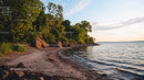 Tranquil Sunset at Rocky Beach with Lush Greenery