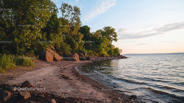 Tranquil Sunset at Rocky Beach with Lush Greenery