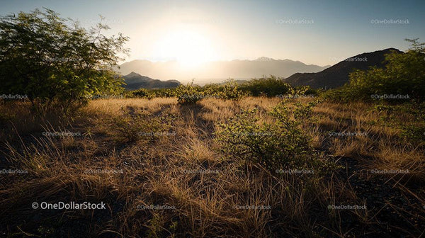 Golden Sunset Over Gold Landscape with Mountain Views