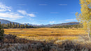 Golden Meadow with Majestic Mountain Backdrop