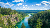 Scenic River Flowing Through Lush Pine Forest Landscape