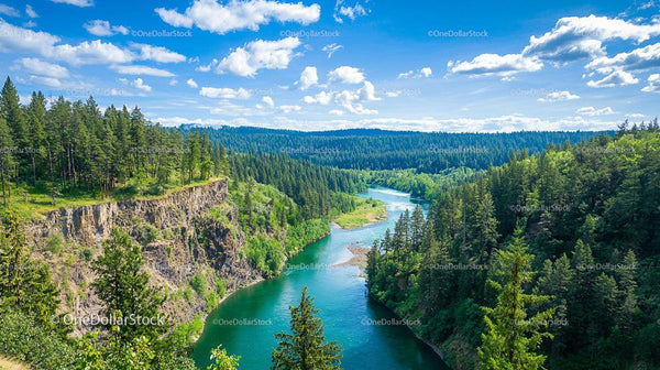 Scenic River Flowing Through Lush Pine Forest Landscape