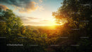 Golden Sunset Over Lush Forest Landscape