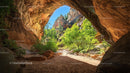 Sunlit Sandstone Cave with Verdant Landscape View