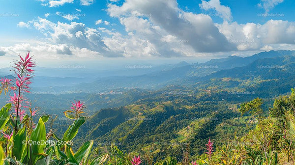 Scenic Mountain Landscape with Lush Greenery and Blue Sky
