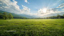 Sunlit Meadow with Rolling Hills and Majestic Mountains