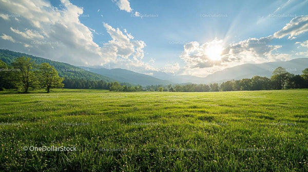 Sunlit Meadow with Rolling Hills and Majestic Mountains