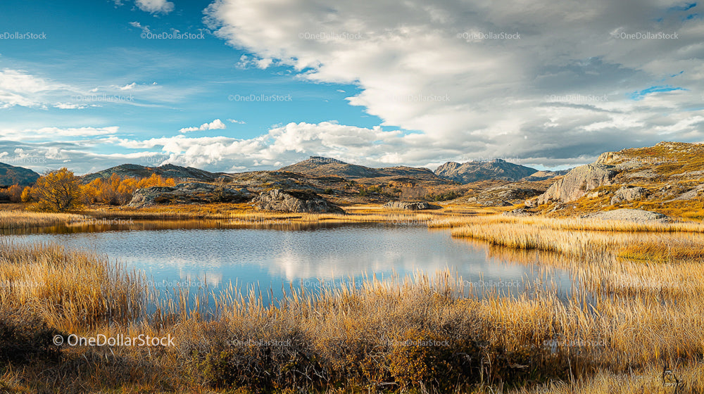 Serene Autumn Lake with Golden Grass and Mountain View