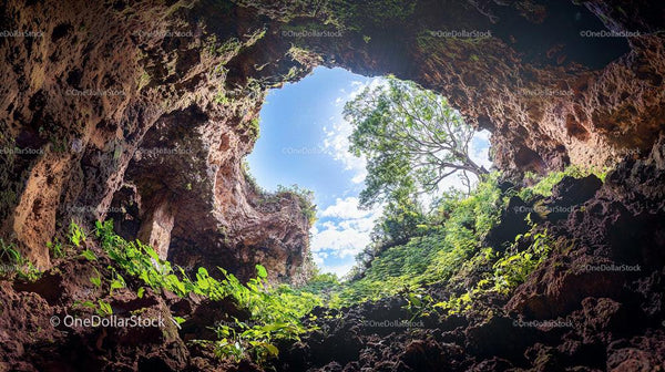 Captivating Cave with Lush Green Vegetation and Sky View