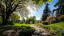 Sunlit Pathway Through a Vibrant Green Garden Landscape