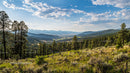 Panoramic Mountain View with Lush Pine Forest and Blue Sky