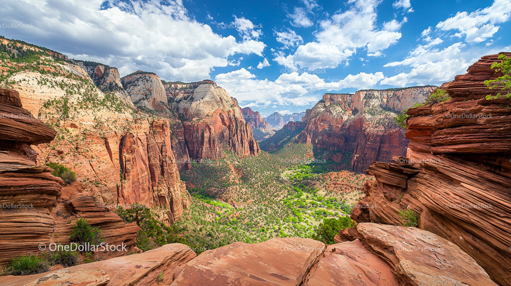 Stunning Red Cliffs and Lush Valley in Zion National Park