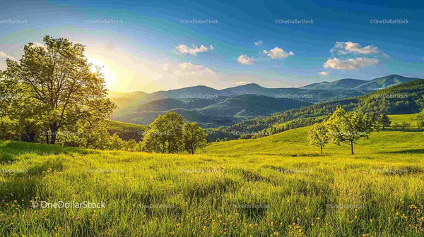 Sunset Over Lush Green Hills and Scenic Meadow