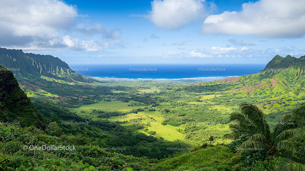 Scenic Overlook of Lush Green Valley and Ocean Horizon